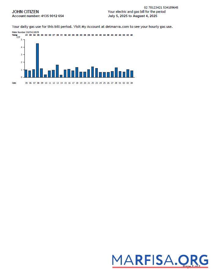 Printable USA Delmarva Power utility bill template in Word and PDF formats, 5 pages, 5th page